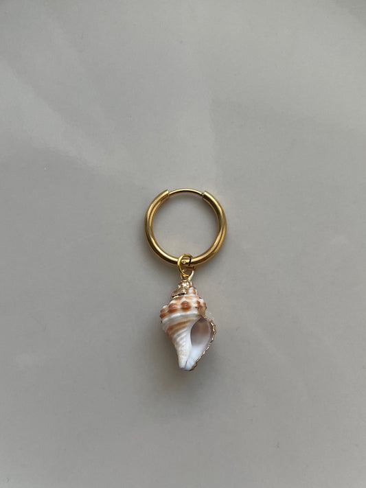 Shell Charm for earrings/necklace